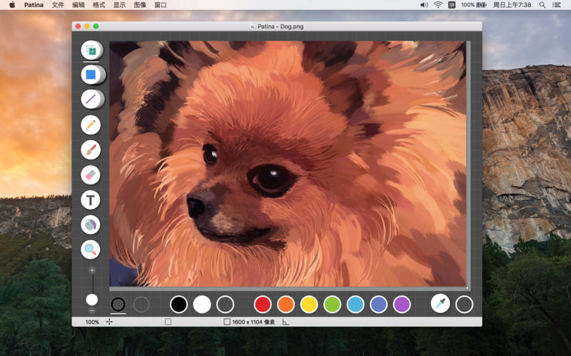 Patina 1.2 for Mac|Mac版下载 | 绘画应用