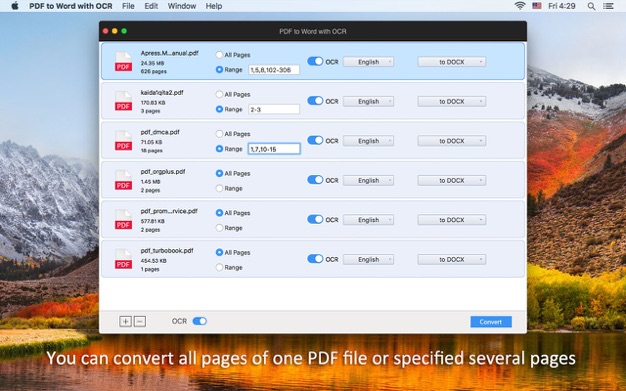Enolsoft PDF to Word with OCR 6.8.0 for Mac|Mac版下载 | PDF格式转换及OCR文字识别