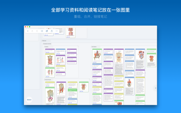 MarginNote 3 3.5.9 for Mac|Mac版下载 | 电子阅读器