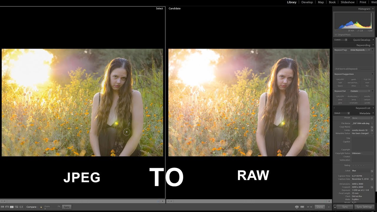 Topaz JPEG to RAW AI 2.2.0 for Mac|Mac版下载 | 摄影修图软件