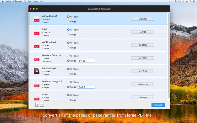 Enolsoft PDF Converter 4.1.0 for Mac|Mac版下载 | PDF格式转换