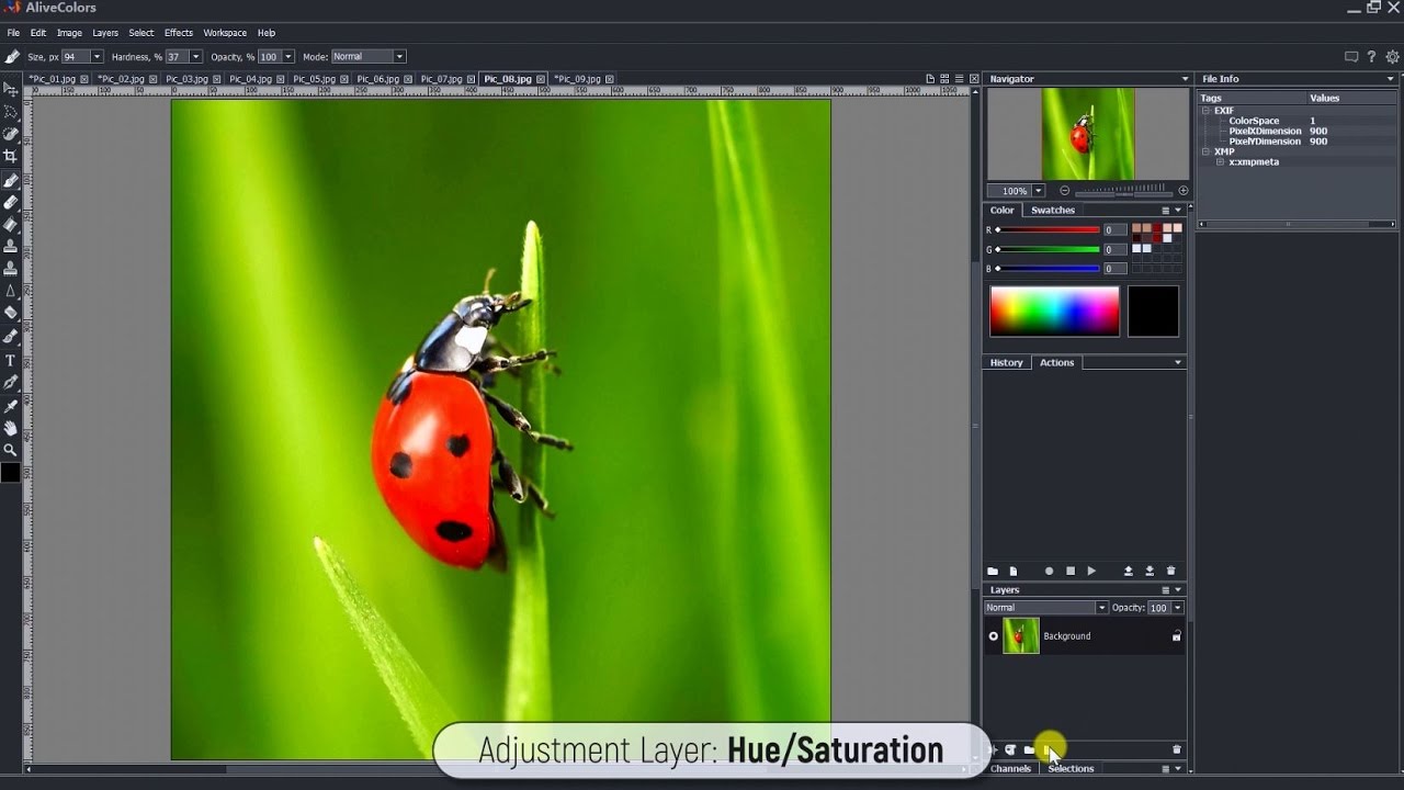 AliveColors 1.3.1874 for Mac|Mac版下载 | 照片编辑软件