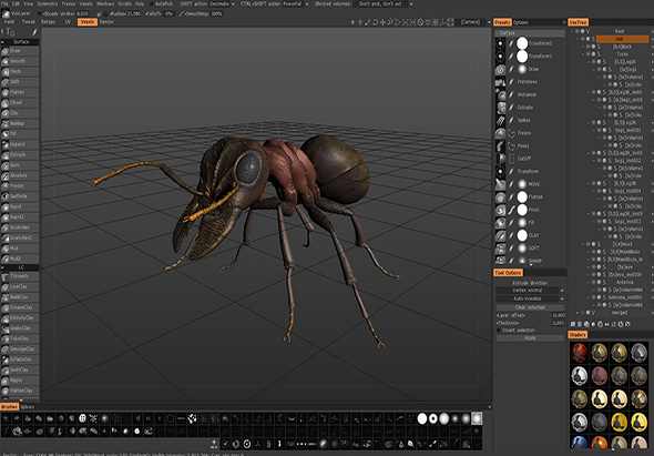 3D COAT 4.8.20 for Mac|Mac版下载 | 3D数字雕塑软件