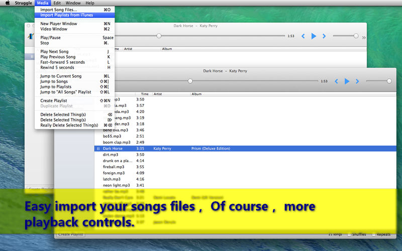 Struggle 2.14 for Mac|Mac版下载 | 音乐播放器软件