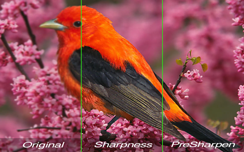 HQ Photo Enlarger 1.68 for Mac|Mac版下载 | 图片放大程序