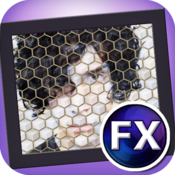 Kyoobik Photo 1.33 for Mac|Mac版下载 | 碎片组图软件 Kyoobik Photo 1.33 for Mac|Mac版下载 | 碎片组图软件