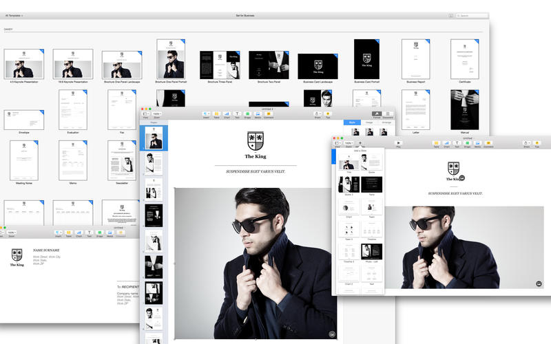 Expert Set - Templates for Pages, Keynote, Numbers 2.0 for Mac|Mac版下载 |