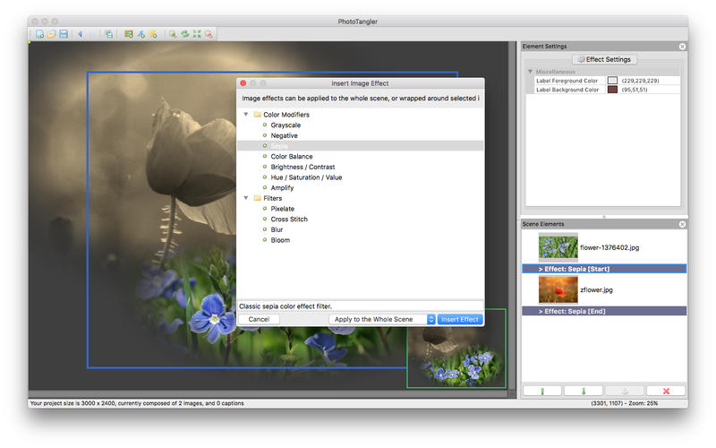 PhotoTangler 2.1.0 for Mac|Mac版下载 | 