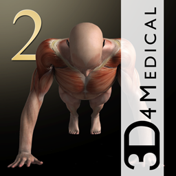 iMuscle 2 3.9.1 for Mac|Mac版下载 | iMuscle 2 3.9.1 for Mac|Mac版下载 |