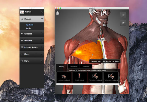 iMuscle 2 3.9.1 for Mac|Mac版下载 |