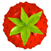 Smultron 9 9.0.3 for Mac|Mac版下载 | Smultron 9 9.0.3 for Mac|Mac版下载 |