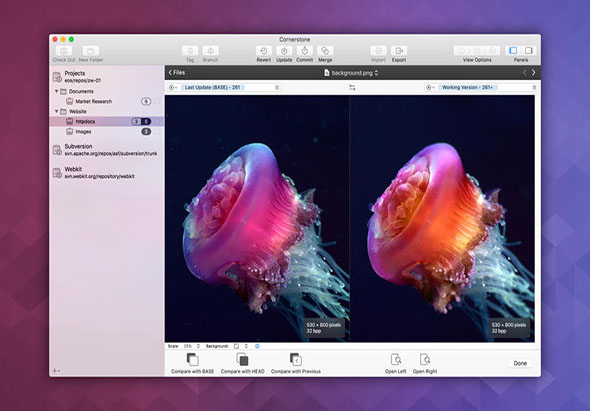 Cornerstone 3 3.0.3 for Mac|Mac版下载 |