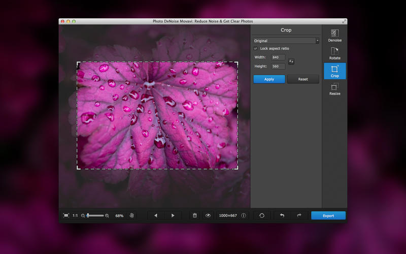 Photo DeNoise Movavi 1.0 for Mac|Mac版下载 |