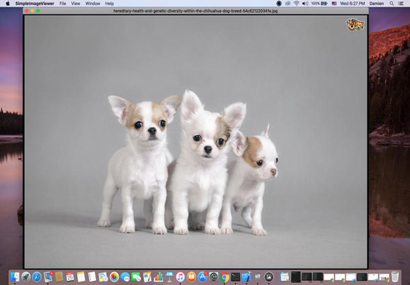 Hot Simple Image Viewer 1.3 for Mac|Mac版下载 | 