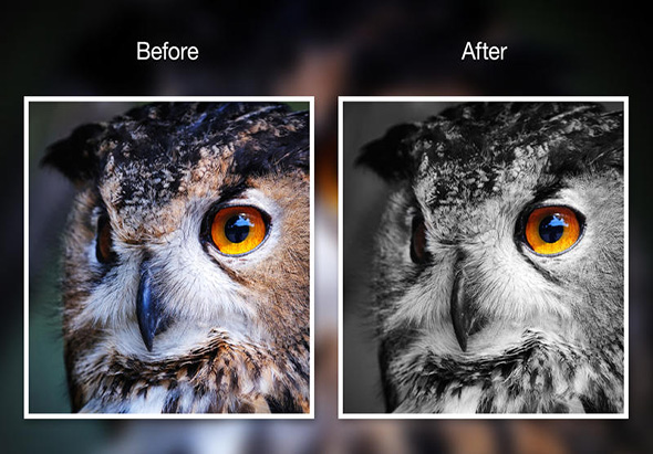 Photo Noir Movavi 1.0.1 for Mac|Mac版下载 |