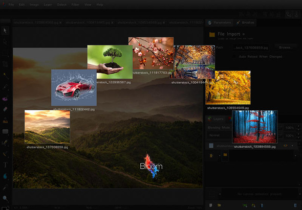 Bloom Image Editor 1.0.447 for Mac|Mac版下载 |
