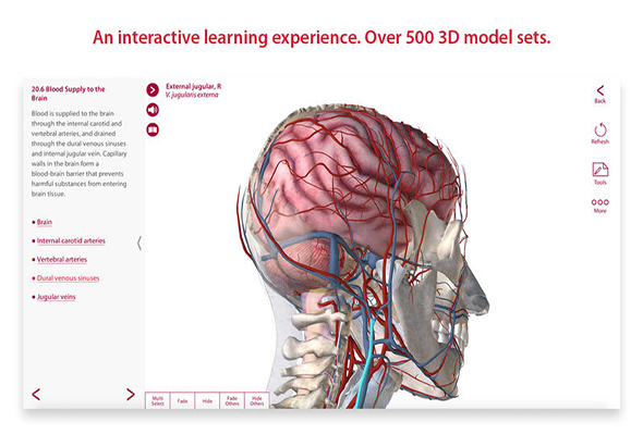 Anatomy & Physiology 3.0.17 for Mac|Mac版下载 |