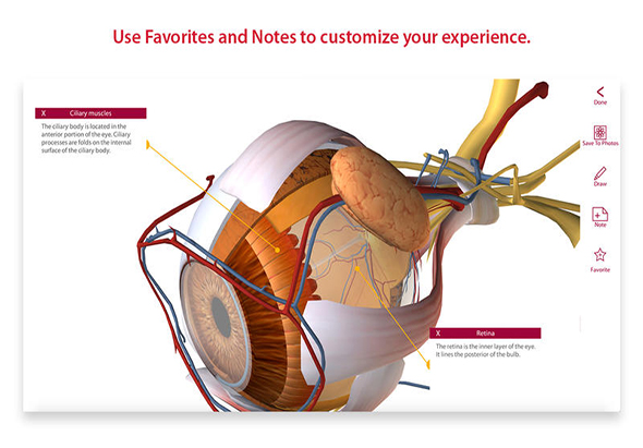 Anatomy & Physiology 3.0.17 for Mac|Mac版下载 |