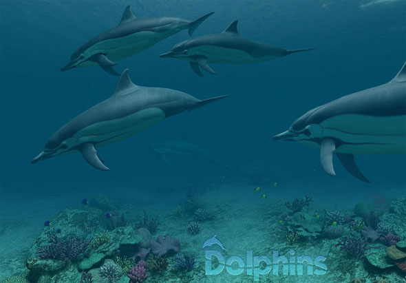 Dolphins 3D 1.1.0 for Mac|Mac版下载 |