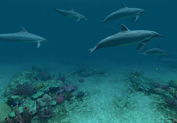 Dolphins 3D 1.1.0 for Mac|Mac版下载 |