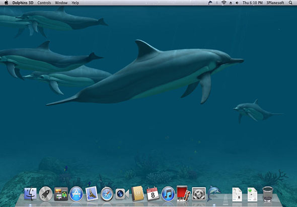 Dolphins 3D 1.1.0 for Mac|Mac版下载 |