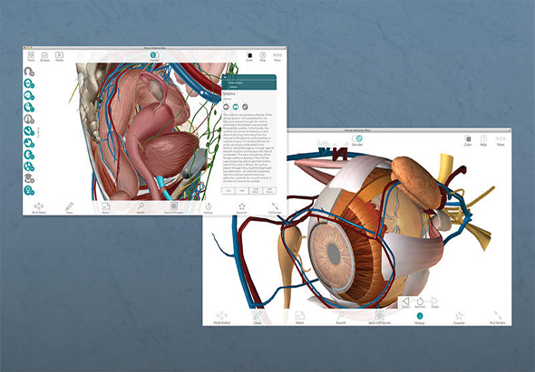 Human Anatomy Atlas 7.4.01 for Mac|Mac版下载 |