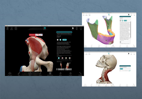 Human Anatomy Atlas 7.4.01 for Mac|Mac版下载 |