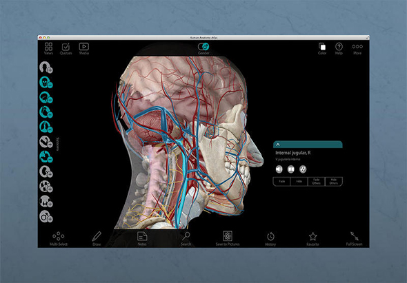 Human Anatomy Atlas 7.4.01 for Mac|Mac版下载 |