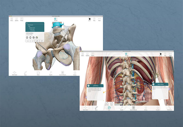 Human Anatomy Atlas 7.4.01 for Mac|Mac版下载 |