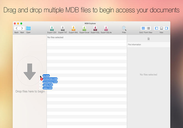 MDB Explorer 2.4.5 for Mac|Mac版下载 |