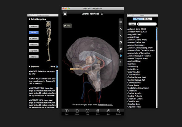 Brain Pro 1.0 for Mac|Mac版下载 | 