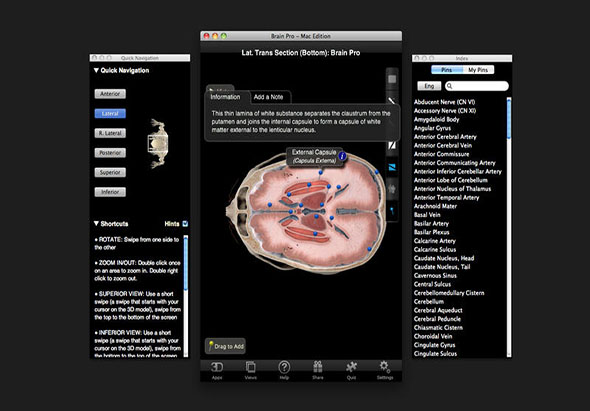 Brain Pro 1.0 for Mac|Mac版下载 | 