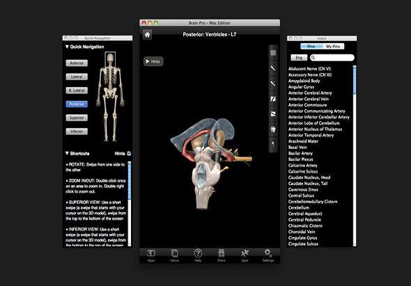Brain Pro 1.0 for Mac|Mac版下载 | 