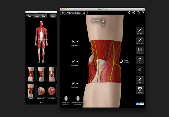 Elbow Pro III 3.8 for Mac|Mac版下载 |