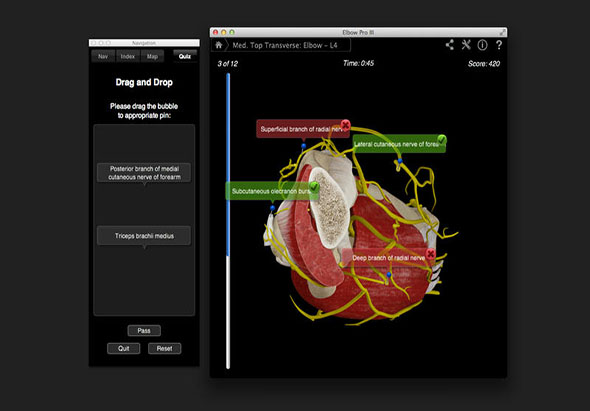 Elbow Pro III 3.8 for Mac|Mac版下载 |