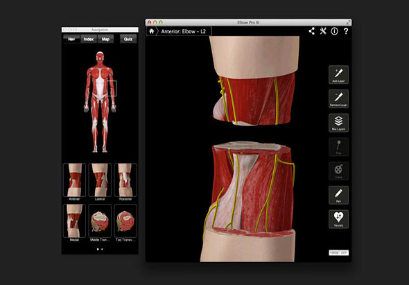 Elbow Pro III 3.8 for Mac|Mac版下载 |