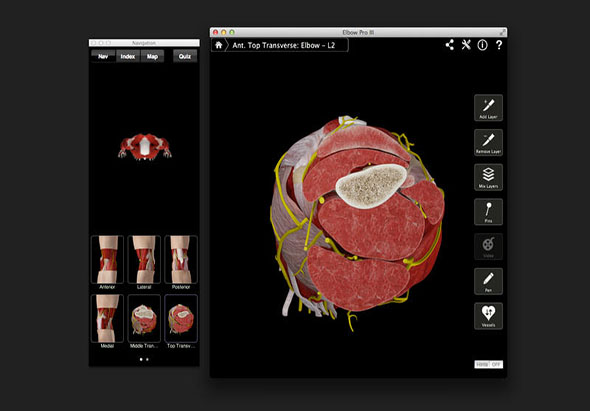 Elbow Pro III 3.8 for Mac|Mac版下载 |