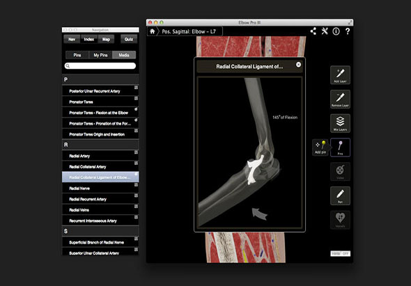 Elbow Pro III 3.8 for Mac|Mac版下载 |