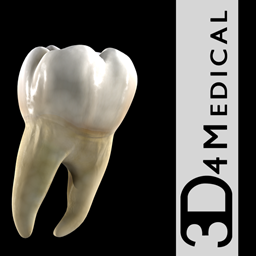 Dental Patient Education 1.1 for Mac|Mac版下载 | Dental Patient Education 1.1 for Mac|Mac版下载 |