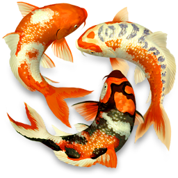 Koi Pond 3D 1.2.0 for Mac|Mac版下载 | Koi Pond 3D 1.2.0 for Mac|Mac版下载 |