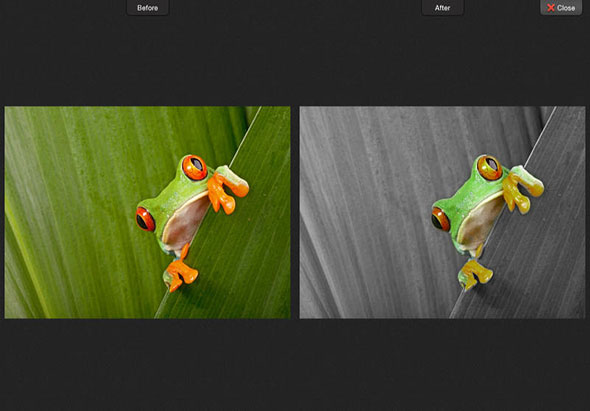 ColorStrokes 颜色飞溅工作室 2.4 for Mac|Mac版下载 |