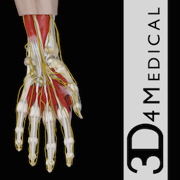 Hand & Wrist Pro III with Animations 3.8 for Mac|Mac版下载 | Hand & Wrist Pro III with Animations 3.8 for Mac|Mac版下载 |