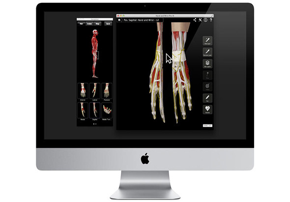 Hand & Wrist Pro III with Animations 3.8 for Mac|Mac版下载 |