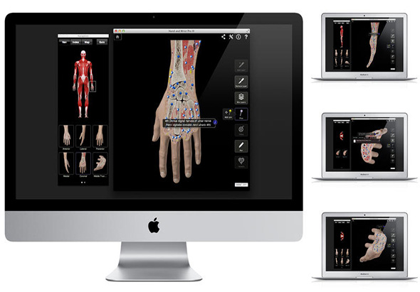 Hand & Wrist Pro III with Animations 3.8 for Mac|Mac版下载 |
