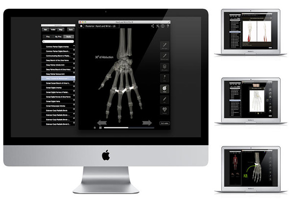 Hand & Wrist Pro III with Animations 3.8 for Mac|Mac版下载 |