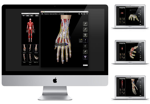 Hand & Wrist Pro III with Animations 3.8 for Mac|Mac版下载 |