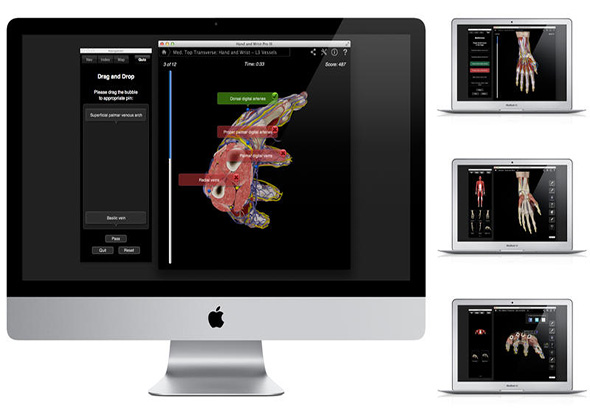 Hand & Wrist Pro III with Animations 3.8 for Mac|Mac版下载 |
