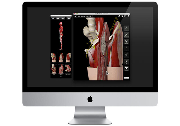 Hip Pro III with Animations 3.8 for Mac|Mac版下载 |