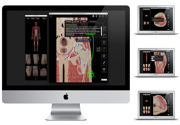Hip Pro III with Animations 3.8 for Mac|Mac版下载 |