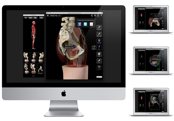 Hip Pro III with Animations 3.8 for Mac|Mac版下载 |